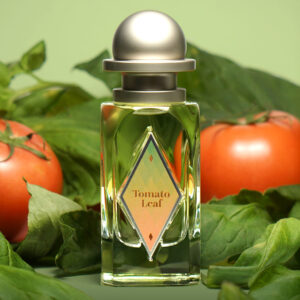 OrDioLab 原物所 番茄葉 淡香精 Tomato Leaf EdP