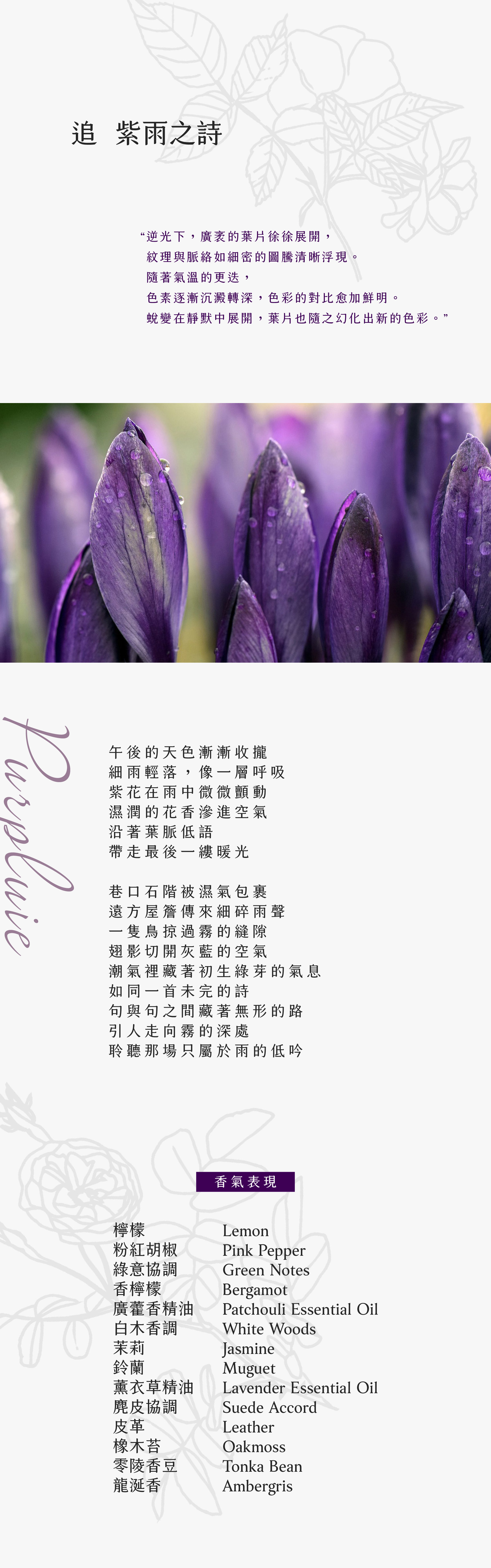 PURPLUIE 追紫雨之詩

逆光下，廣袤的葉片徐徐展開，紋理與脈絡如細密的圖騰清晰浮現。
隨著氣溫的更迭，色素逐漸沉澱轉深，色彩的對比愈加鮮明。蜕變在靜默中展開，葉片也隨之幻化出新的色彩。

午後的天色漸漸收攏
細雨輕落，像一層呼吸
紫花在雨中微微顫動
濕潤的花香滲進空氣
沿著葉脈低語
帶走最後一縷暖光

巷口石階被濕氣包裹
遠方屋簷傳來細碎雨聲
一隻鳥掠過霧的縫隙
翅影切開灰藍的空氣
潮氣裡藏著初生綠芽的氣息
如同一首未完的詩
句與句之間藏著無形的路
引人走向霧的深處
聆聽那場只屬於雨的低吟

香氣表現
檸檬、粉紅胡椒、綠意協調、香檸檬、廣藿香精油、白木香調、茉莉、鈴蘭、薰衣草精油、麂皮協調、皮革、橡木苔、零陵香豆、龍涎香
Lemon, Pink Pepper, Green Notes, Bergamot, Patchouli Essential Oil, White Woods, Jasmine, Muguet, Lavender Essential Oil, Suede Accord, Leather, Oakmoss, Tonka Bean, Ambergris